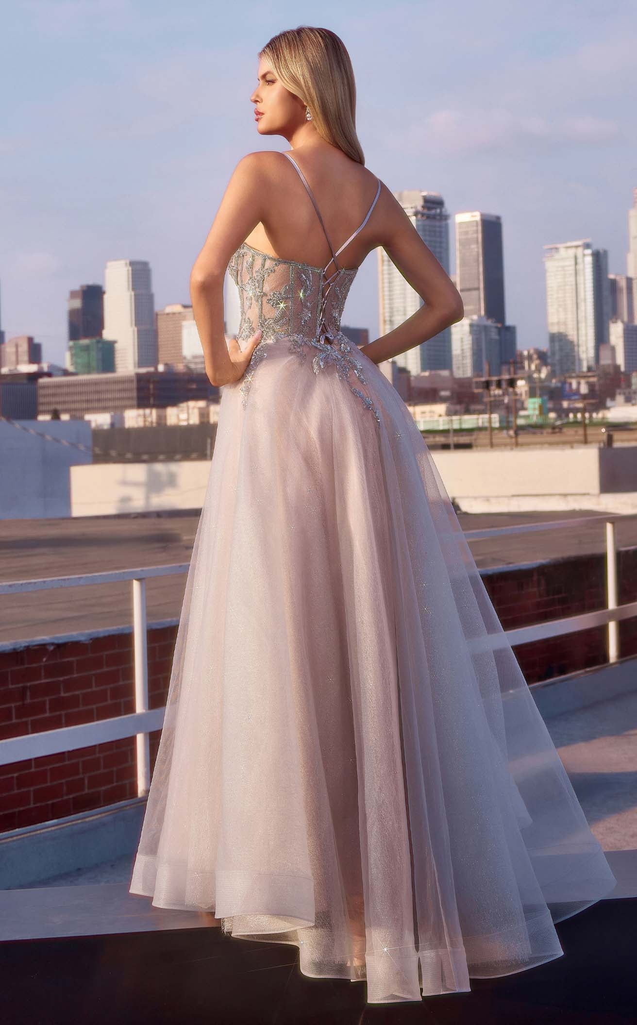 Ladivine CC0881 Dress